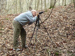 senior-photographer-in-woods