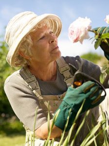 tuscaloosa-senior-gardening
