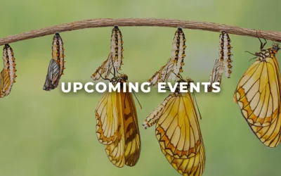 Monthly Events – April 2024